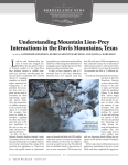 Understanding Mountain Lion-Prey Interactions in the Davis