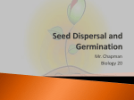 Seed Dispersal and Germination