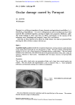 Ocular damage caused by Paraquat