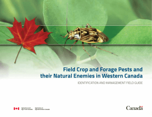 Field Crop and Forage Pests and their Natural Enemies in Western