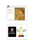 Coding of Visual Information in the Retina Coding of Light d D k and