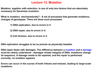 Lecture 13. Mutation