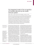 An integrated model of the recognition of Candida albicans by the