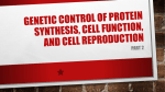 Genetic Control of Protein Synthesis, Cell Function, and Cell