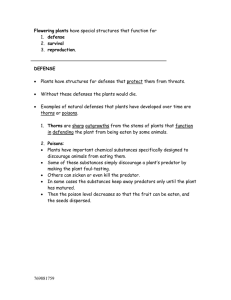 6-2.4 notes Plants - Thomas C. Cario Middle School