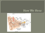 How We Hear
