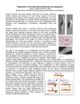 Regulation of Smooth Muscle Mechanical Adaptation