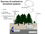 Sources of nutrients to terrestrial systems