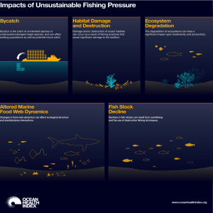 Impacts of Unsustainable Fishing Pressure