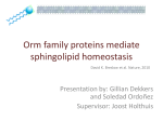 3. Orm proteins