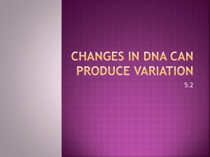 Changes in DNA can produce Variation