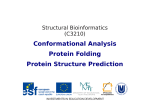 Conformational Analysis Protein Folding Protein Structure