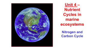 Nitrogen and Carbon Cycle