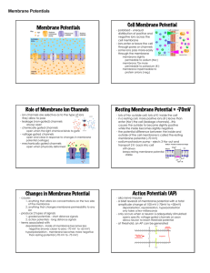 Membrane Potentials Cell Membrane Potential Role of Membrane