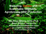Gender Roles in Production and Marketing within the VegAgroforestry