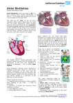 Atrial fibrillation Patient Information Leaflet