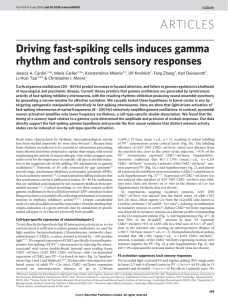 Driving fast-spiking cells induces gamma rhythm