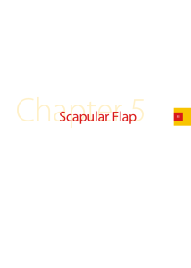 Scapular Flap
