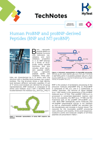 Human ProBNP and proBNP-derived Peptides (BNP and NT