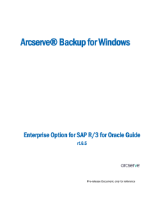 Enterprise Option for SAP R/3 for Oracle Guide