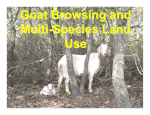 Goat Browsing and Multi-Species Land Use presentation