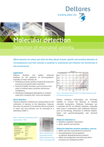 Molecular detection