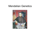 Mendelian Genetics