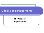 Genetic Explanations - School