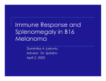 Immune response and splenomegaly in B16 Melanoma