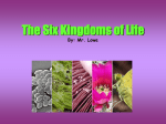 The Five Kingdoms of Life