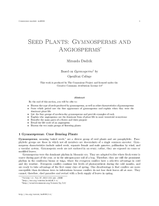 Seed Plants: Gymnosperms and Angiosperms