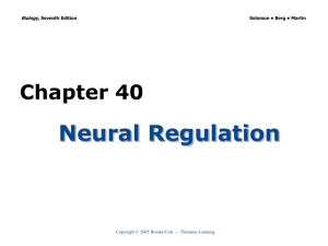 Chapter 40 Neural Regulation