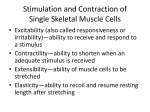 Stimulation and Contraction of Single Skeletal Muscle Cells