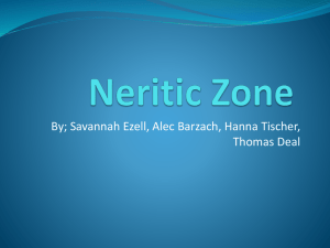 Neritic Zone - SmartScience