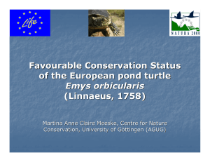 Favourable Conservation Status of the European pond turtle Emys