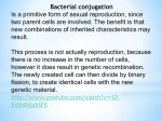 Bacterial conjugation Is a primitive form of sexual reproduction
