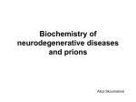 Biochemistry of neurodegenerative diseases and prions