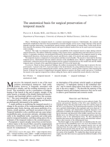 The anatomical basis for surgical preservation of temporal muscle
