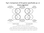 Fig 5. Comparison of the genes specifically up- or