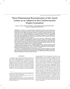 Three-Dimensional Reconstruction of the Vessel Lumen as an