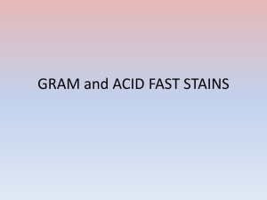 The Acid Fast Stain - IRSC Biology Department