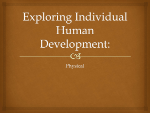 Exploring Individual Human Development: