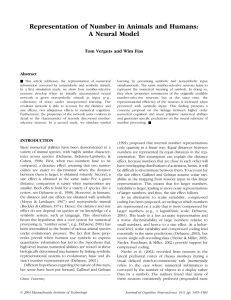 Representation of Number in Animals and Humans: A Neural Model