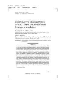 Cooperative organization of bacterial colonies: from genotype to