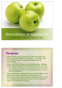 Biosynthesis of Isoprenoids