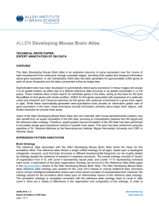 ALLEN Developing Mouse Brain Atlas