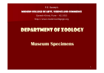 Department of ZOOLOGY Museum Specimens