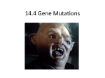 14.4 Gene Mutations
