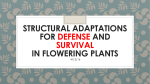 Structural Adaptations for Defense and SURVIVAL in PLANTS