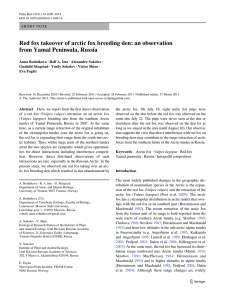 Red fox takeover of arctic fox breeding den: an observation from